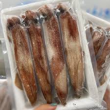 Mực tươi cấp